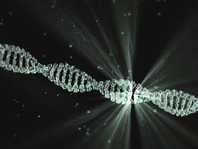 Life Sciences